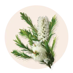 Retreatment Botanics Ultra Rich Moisturiser 超級豐潤保濕霜